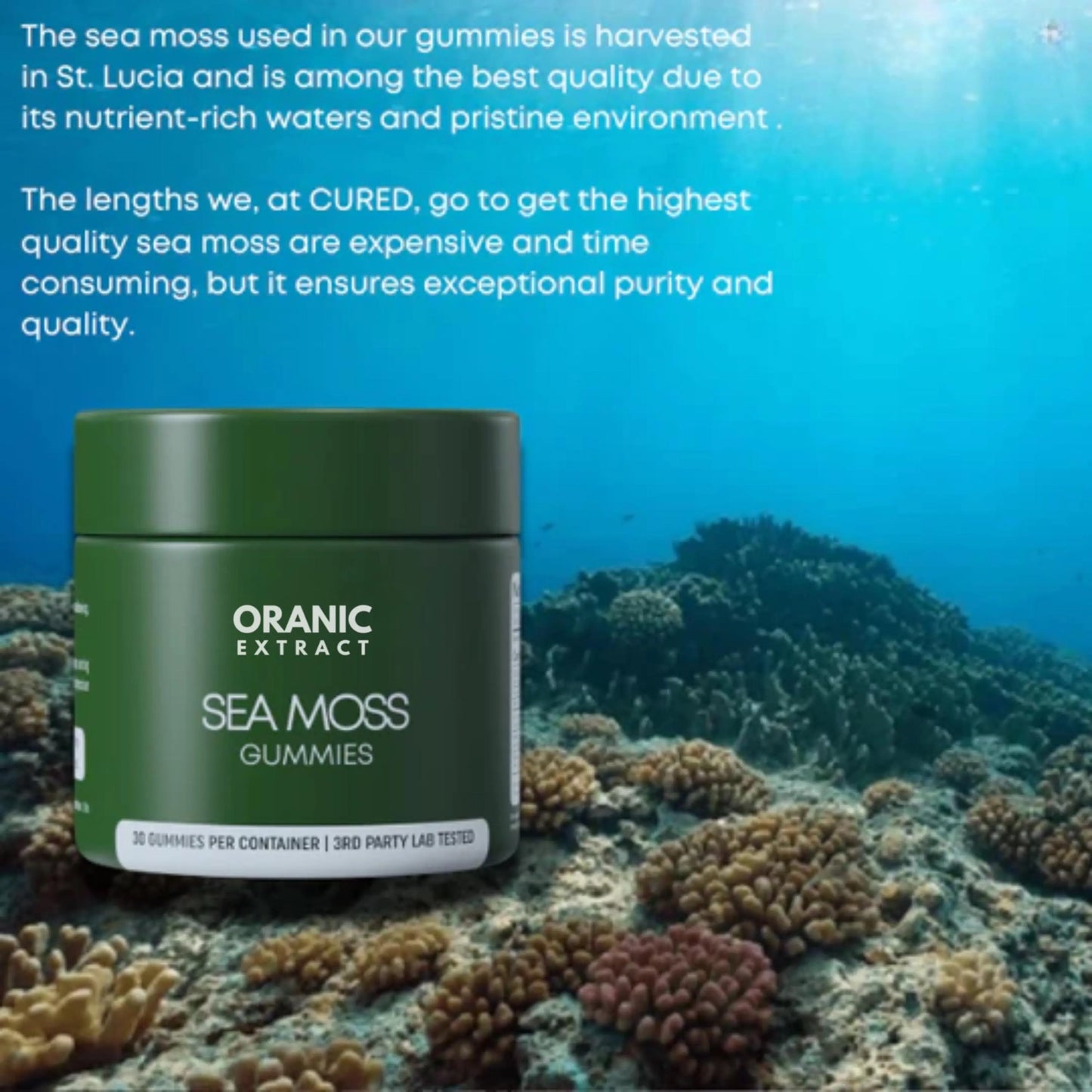 ORGANIC EXTRACT® Sea Moss Gummies Organic Extract
